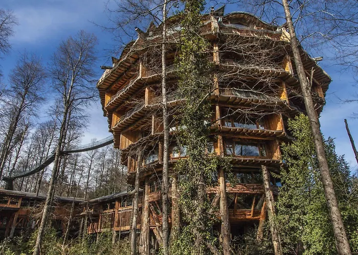 Huilo Huilo Nothofagus Hotel & Spa