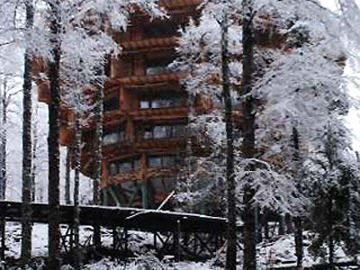 Alojamento de Turismo Selvagem Huilo Huilo Nothofagus & Spa *